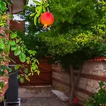 Alenor - Sea View & Access Villa *