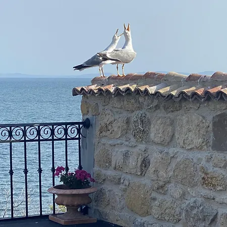Alenor - Sea View & Access וילה