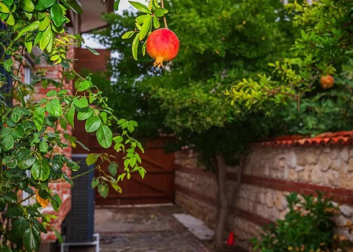 Alenor | Sea View & Access Villa *